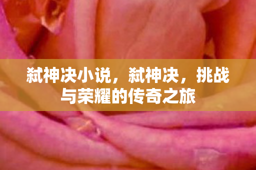 弑神决小说，弑神决，挑战与荣耀的传奇之旅