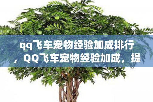 qq飞车宠物经验加成排行，QQ飞车宠物经验加成，提升游戏乐趣的神奇助手