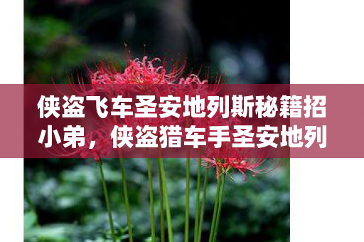 侠盗猎车手圣安地列斯秘籍招小弟图片