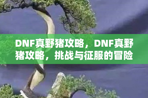 挑战与征服的冒险之旅图片