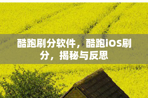 酷跑iOS刷分图片