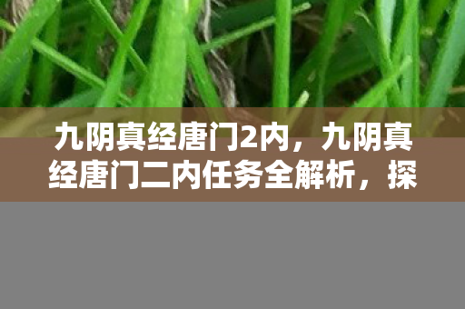 九阴真经唐门二内任务全解析图片