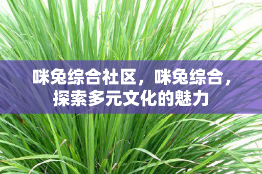 探索多元文化的魅力图片