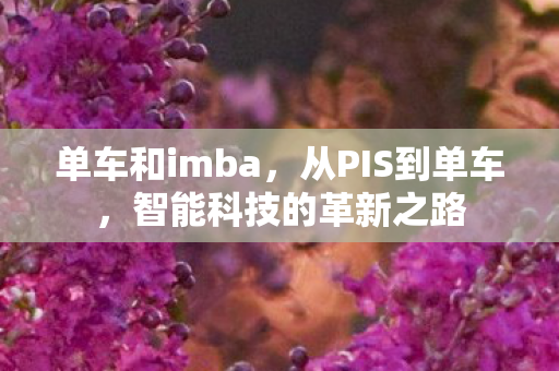 单车和imba，从PIS到单车，智能科技的革新之路