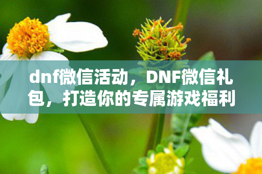 打造你的专属游戏福利图片