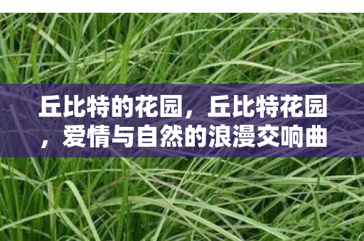 爱情与自然的浪漫交响曲图片