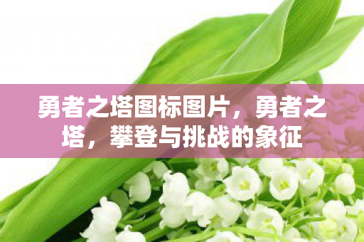 勇者之塔图标图片图片