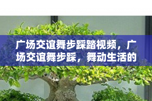 广场交谊舞步踩踏视频图片