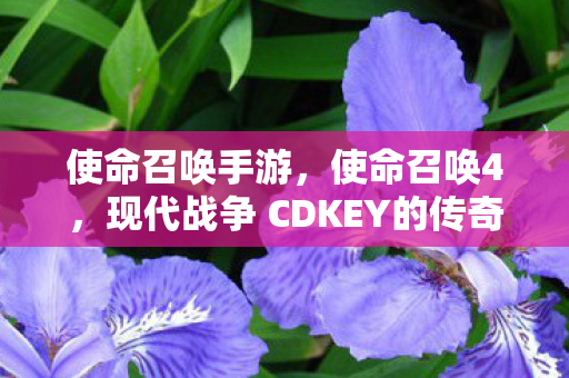 现代战争 CDKEY的传奇故事图片