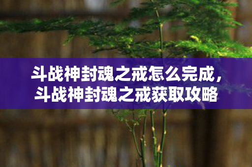 斗战神封魂之戒怎么完成图片