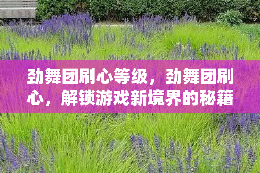 解锁游戏新境界的秘籍图片