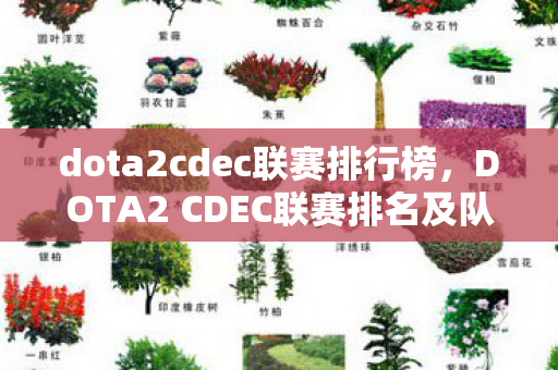 dota2cdec联赛排行榜，DOTA2 CDEC联赛排名及队伍表现解析