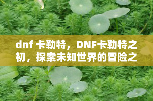 探索未知世界的冒险之旅图片