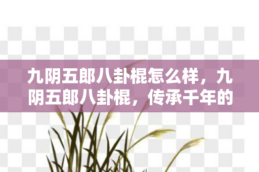 九阴五郎八卦棍怎么样图片