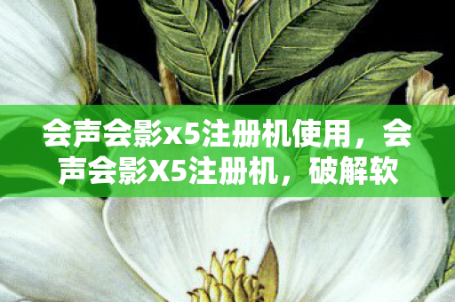 破解软件的风险与合法替代方案图片