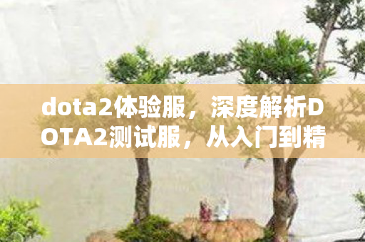 dota2体验服，深度解析DOTA2测试服，从入门到精通