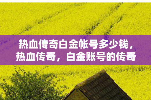 热血传奇白金帐号多少钱图片