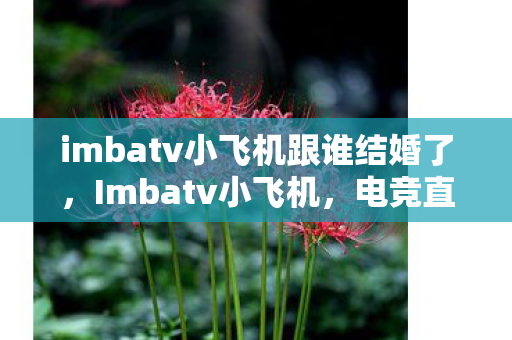 imbatv小飞机跟谁结婚了，Imbatv小飞机，电竞直播的新宠