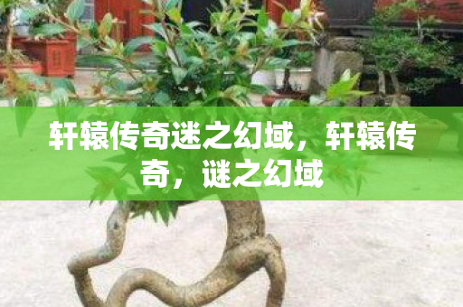 轩辕传奇迷之幻域图片