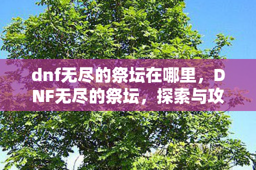 dnf无尽的祭坛在哪里图片