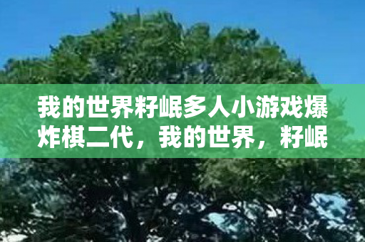 我的世界籽岷多人小游戏爆炸棋二代图片