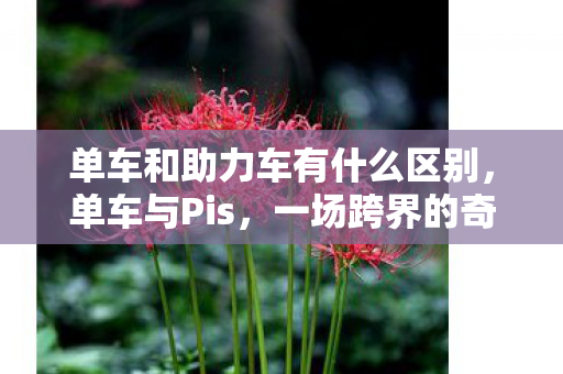 单车和助力车有什么区别，单车与Pis，一场跨界的奇妙相遇