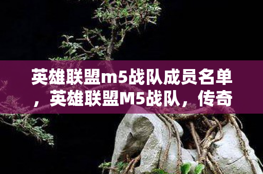 英雄联盟m5战队成员名单图片