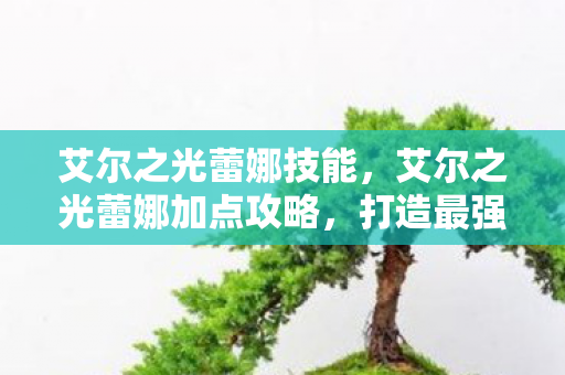 艾尔之光蕾娜加点攻略图片