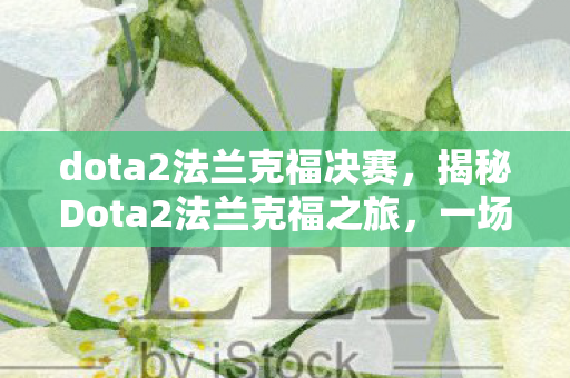 dota2法兰克福决赛，揭秘Dota2法兰克福之旅，一场电竞盛宴的背后故事