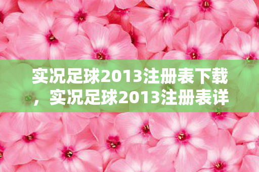 实况足球2013注册表下载图片