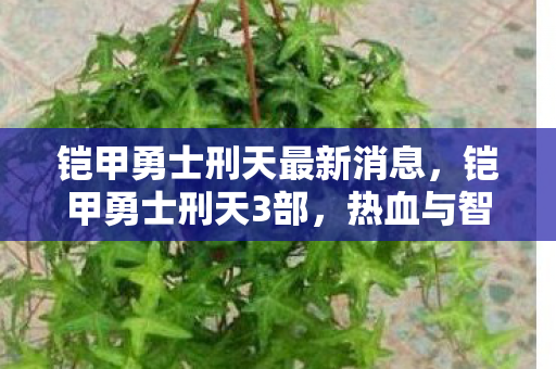 铠甲勇士刑天最新消息图片