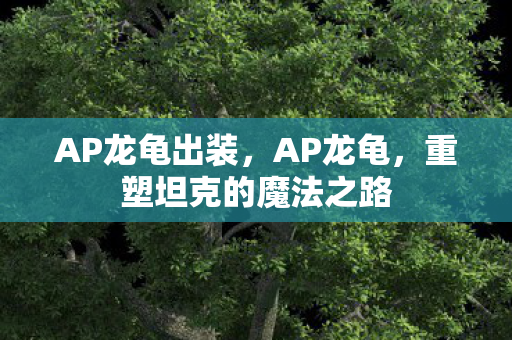 重塑坦克的魔法之路图片