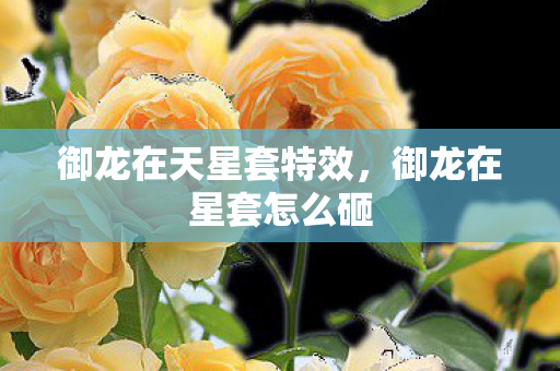 御龙在天星套特效图片