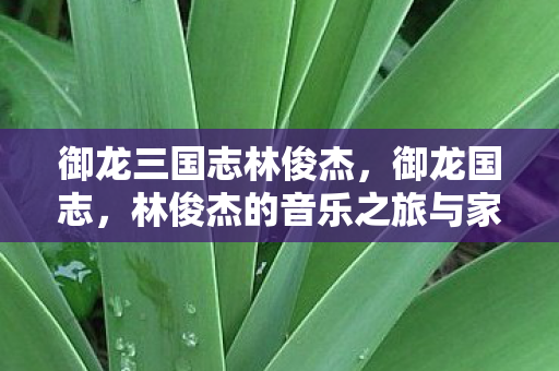 林俊杰的音乐之旅与家国情怀图片