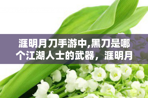 黑刀是哪个江湖人士的武器图片