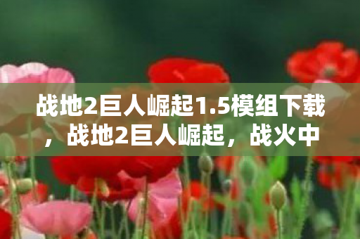 战火中的荣耀与梦想图片