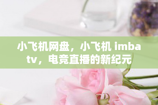 小飞机网盘，小飞机 imbatv，电竞直播的新纪元