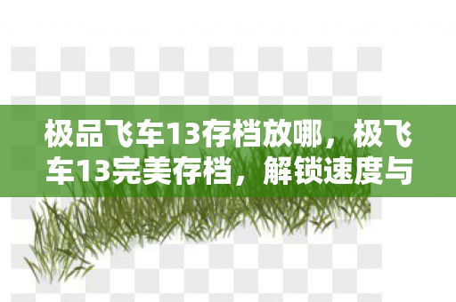解锁速度与激情的终极挑战图片