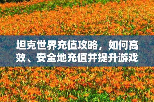 安全地充值并提升游戏体验图片