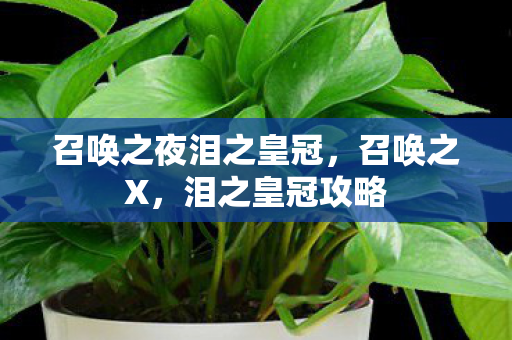 召唤之夜泪之皇冠，召唤之X，泪之皇冠攻略