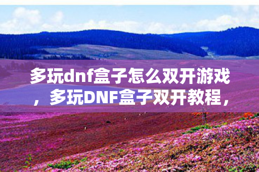 多玩dnf盒子怎么双开游戏图片