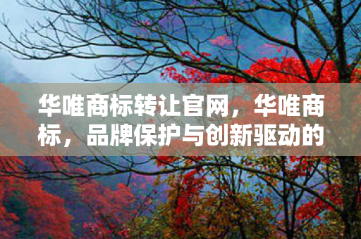 品牌保护与创新驱动的核心力量图片