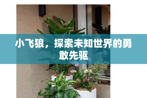 探索未知世界的勇敢先驱图片