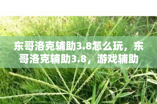 游戏辅助工具的新篇章图片