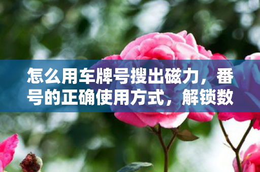 怎么用车牌号搜出磁力图片