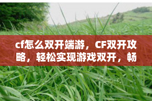 cf怎么双开端游图片