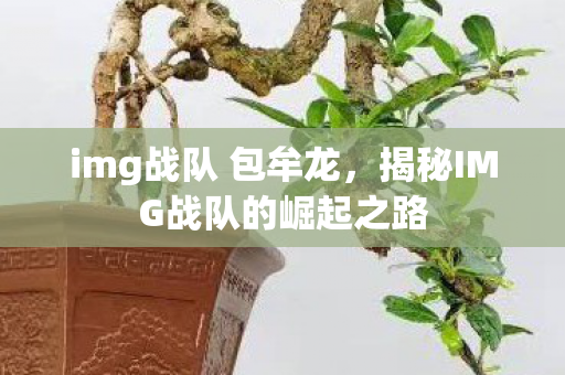 img战队 包牟龙，揭秘IMG战队的崛起之路