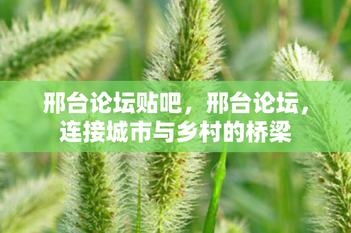 连接城市与乡村的桥梁图片