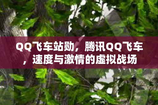 QQ飞车站勋，腾讯QQ飞车，速度与激情的虚拟战场