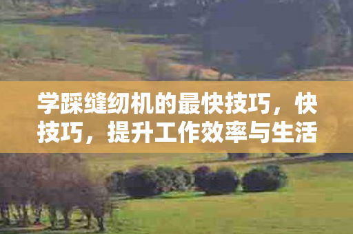 学踩缝纫机的最快技巧，快技巧，提升工作效率与生活质量的小窍门